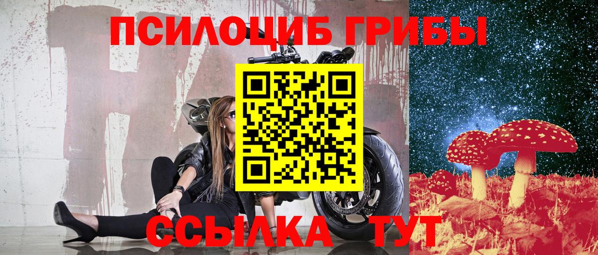 Заречный  Псилоцибиновые грибы мицелий  Вход с VPN  Псилоцибиновые грибы Psilocybine cubensis 